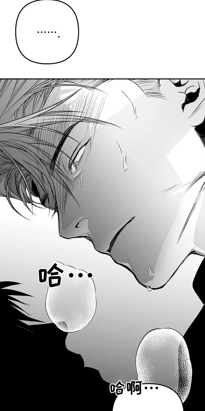 拳击手漫画李施河漫画,第208章：【第三季】收拾掉14图