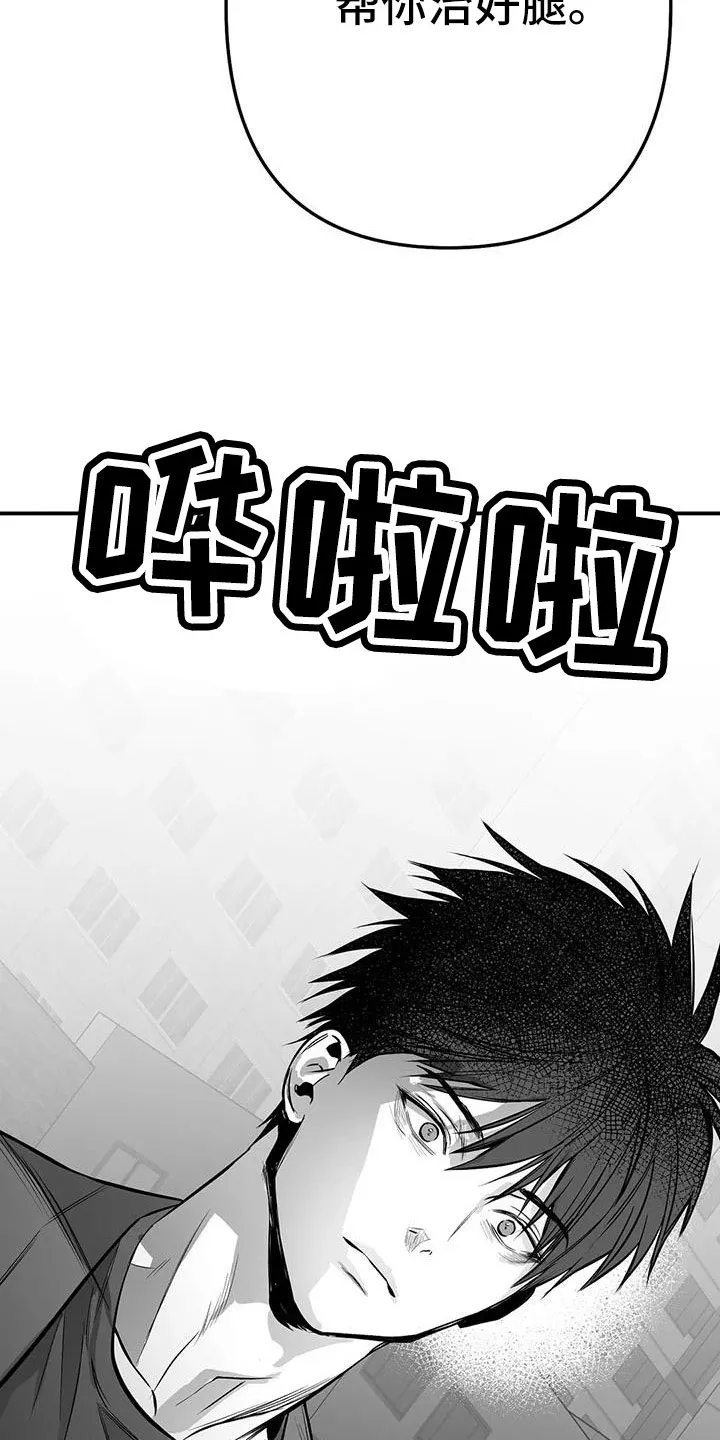 拳击手漫画图片漫画,第219章：【第三季】帮你治腿32图