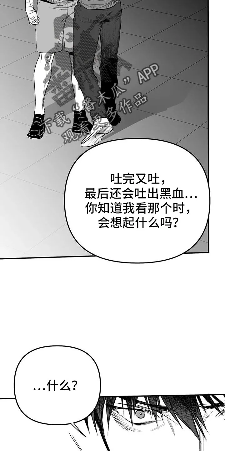 拳击手漫画漫画,第215章：【第三季】不像自己11图