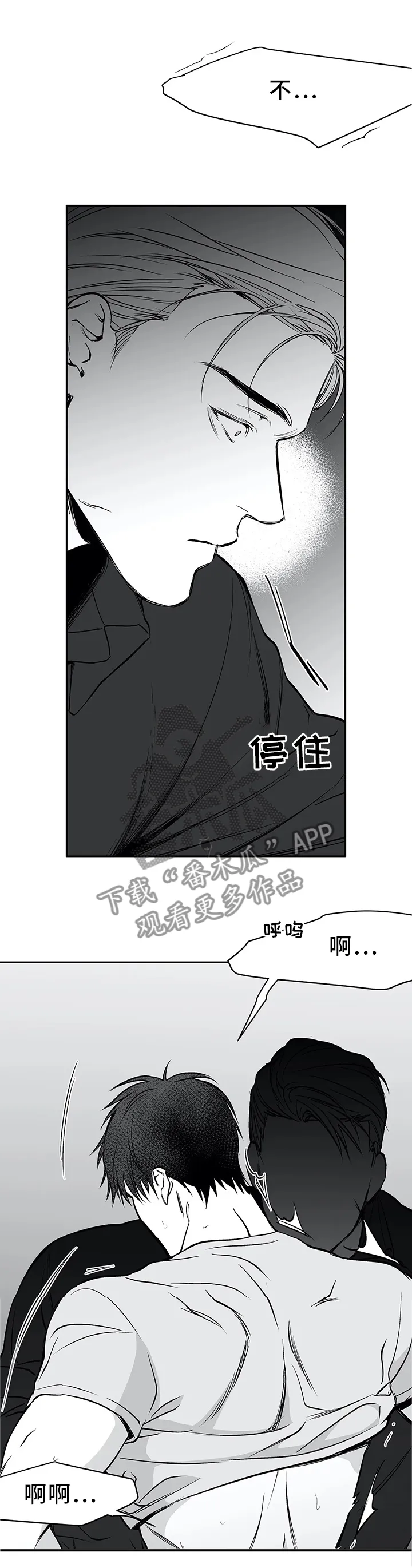 拳击手漫画免费观看全集漫画,第57章：如你所愿2图