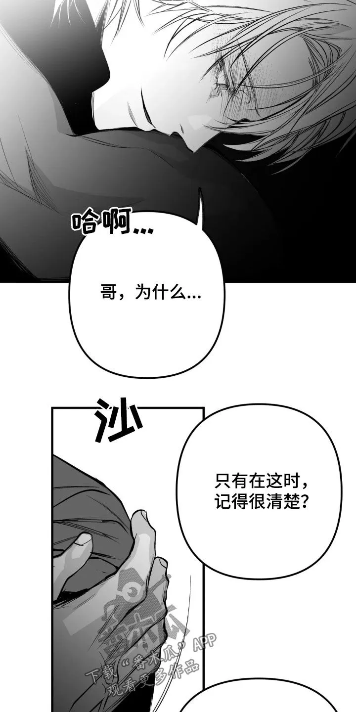 拳击手漫画漫画,第260章：【第三季】先忍忍吧12图