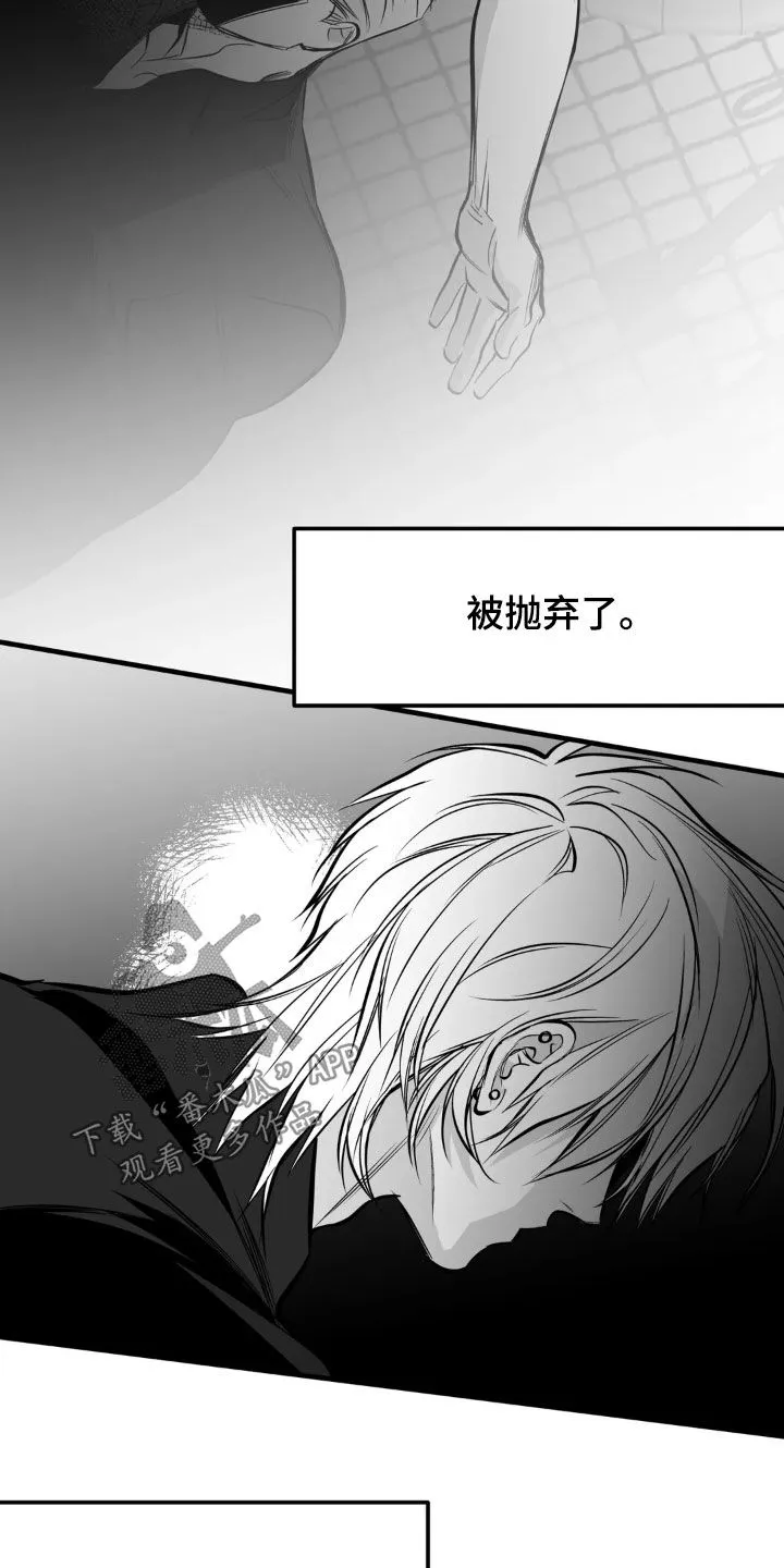 拳击手漫画全集免费阅读下拉式漫画,第259章：【第三季】不一样21图