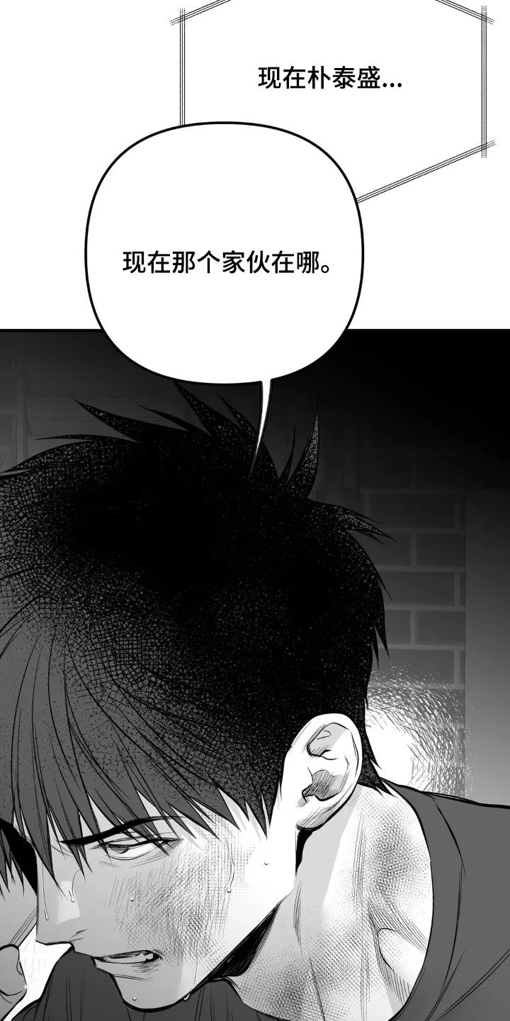 拳击手漫画全集免费阅读下拉式漫画,第259章：【第三季】不一样5图