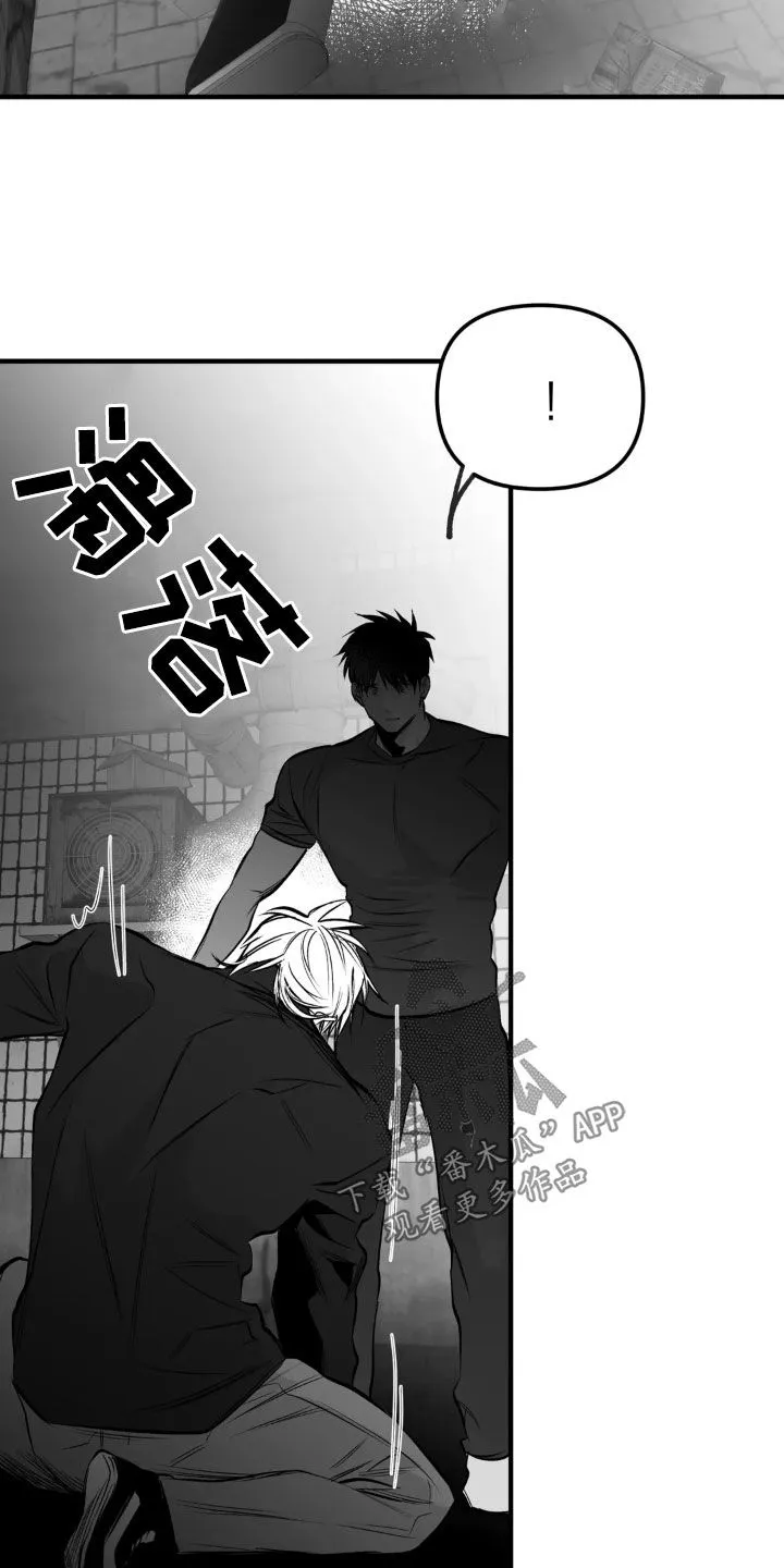 拳击手漫画全集免费阅读下拉式漫画,第259章：【第三季】不一样33图
