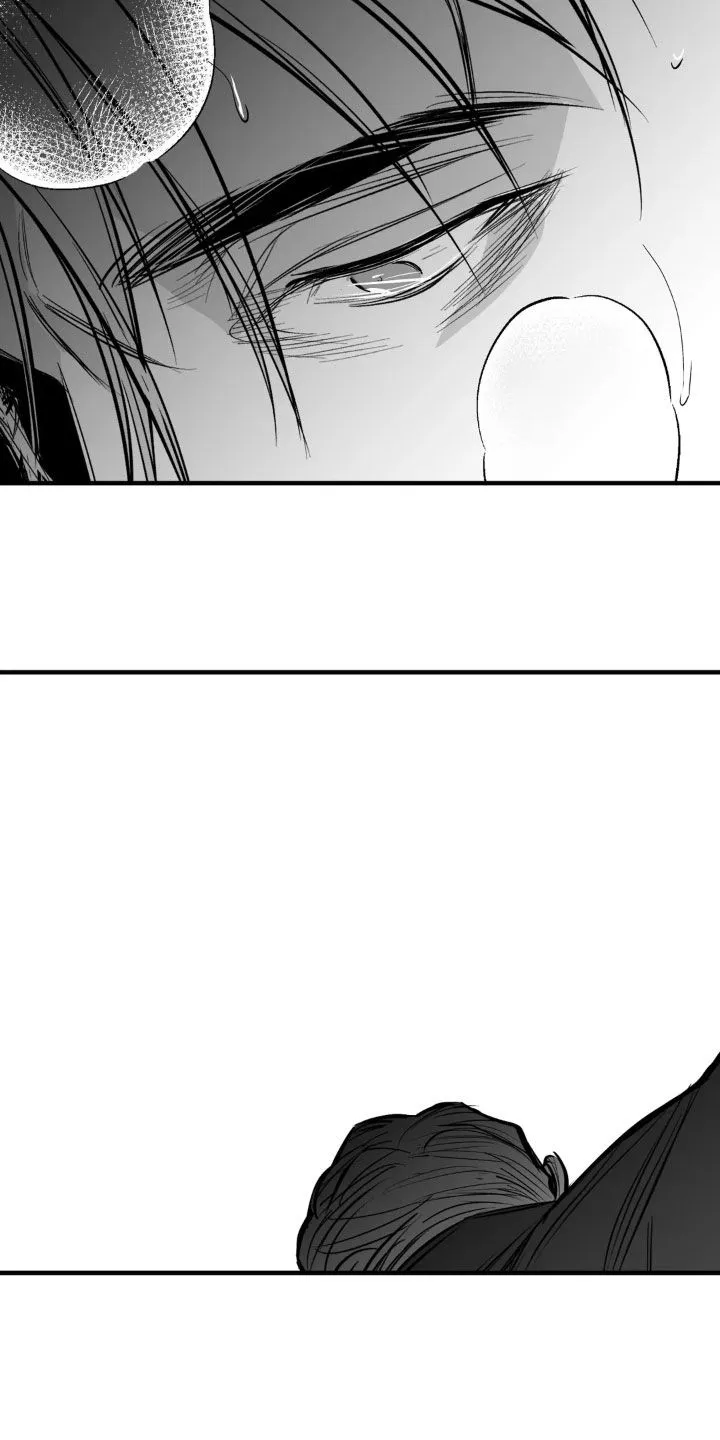 拳击手漫画漫画,第260章：【第三季】先忍忍吧33图