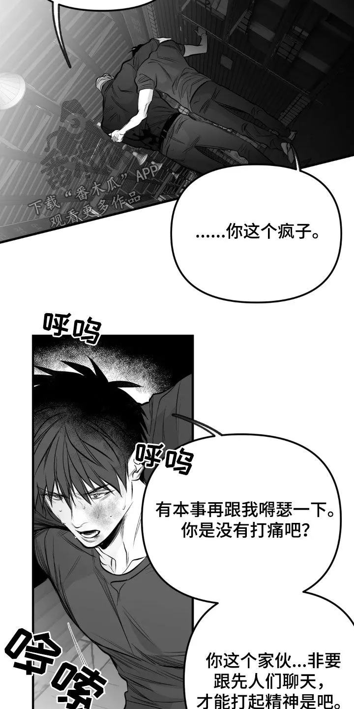 拳击手漫画漫画,第260章：【第三季】先忍忍吧20图