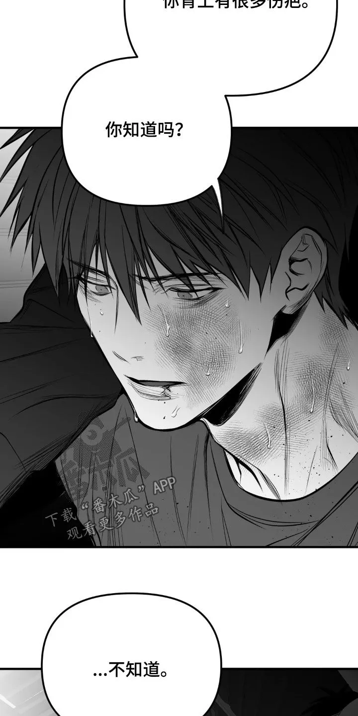 拳击手漫画漫画,第260章：【第三季】先忍忍吧24图