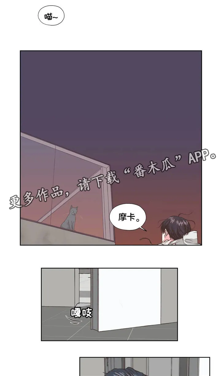 雪之牢笼漫画视频漫画,第19章：回忆11图