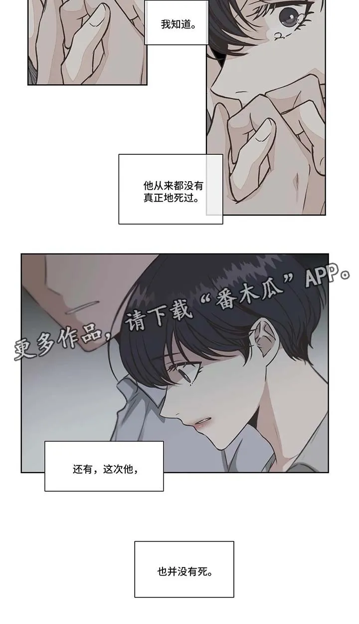 永恒的牢笼360漫画漫画,第38章：免费编曲4图