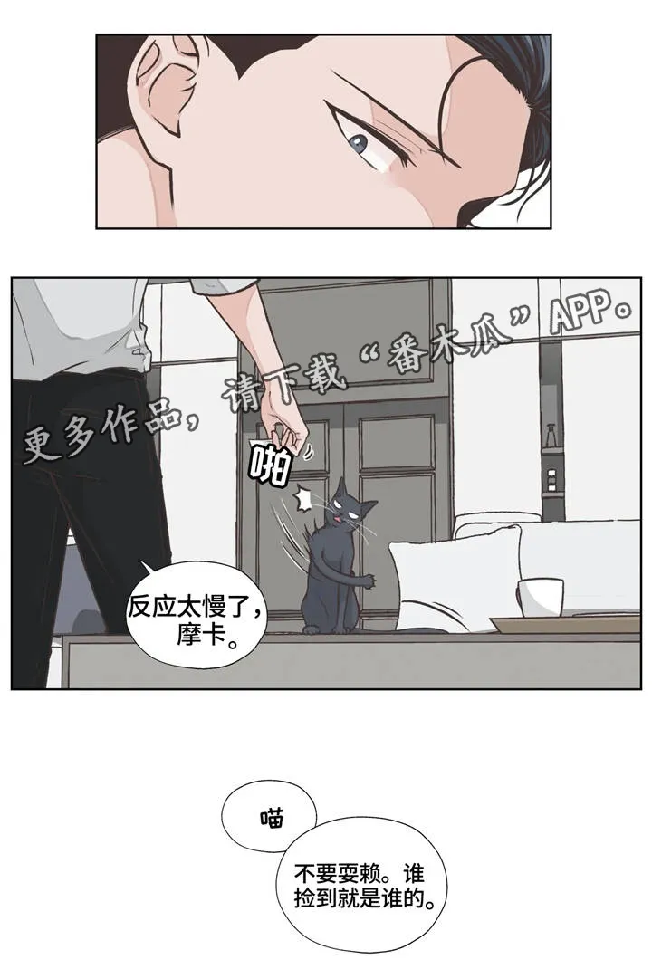 雪之牢笼漫画视频漫画,第17章：职业16图