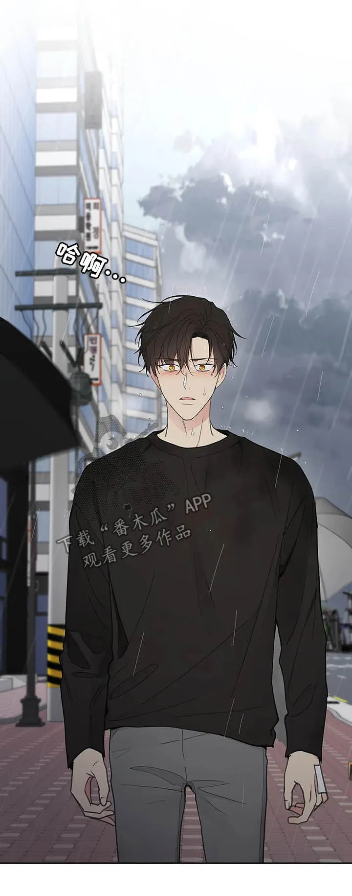 学院代表漫画漫画,第132章：【番外】不想受伤17图
