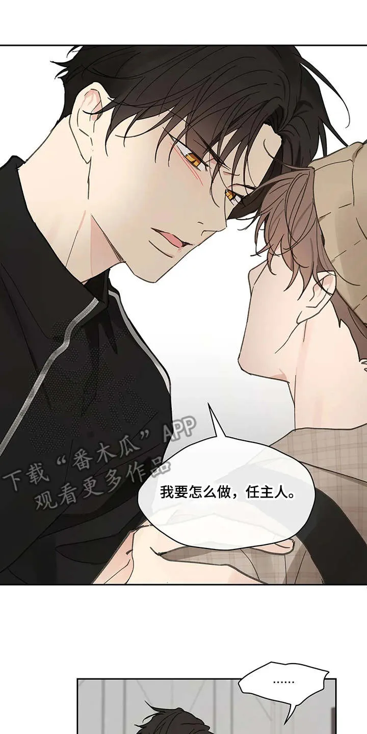 学院代表漫画漫画,第142章：【番外】想要挽回14图