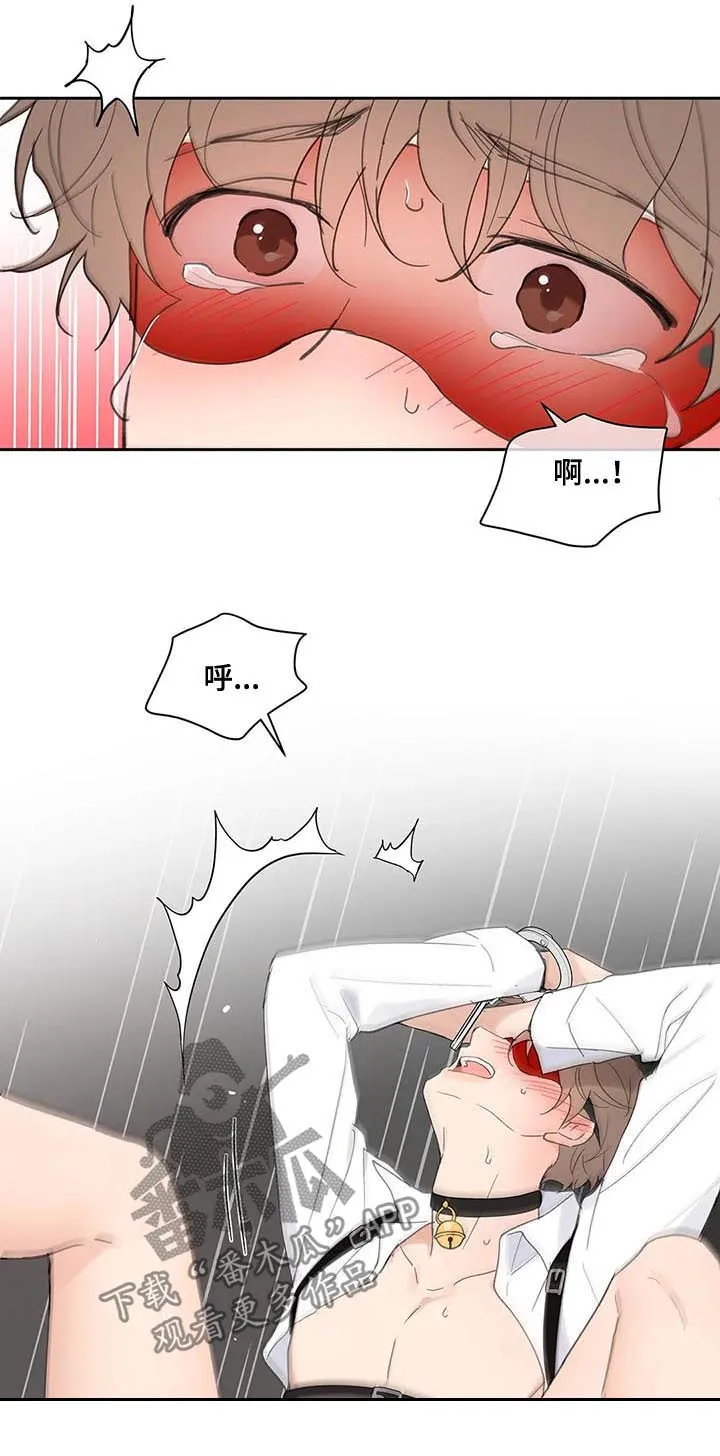 有一部漫画叫什么学院漫画,第65章：你需要的5图