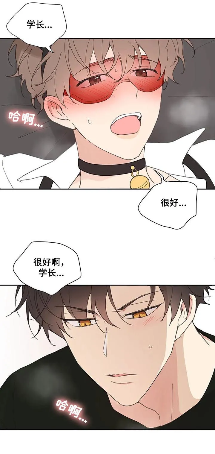 学院代表漫画漫画,第66章：期待一次13图