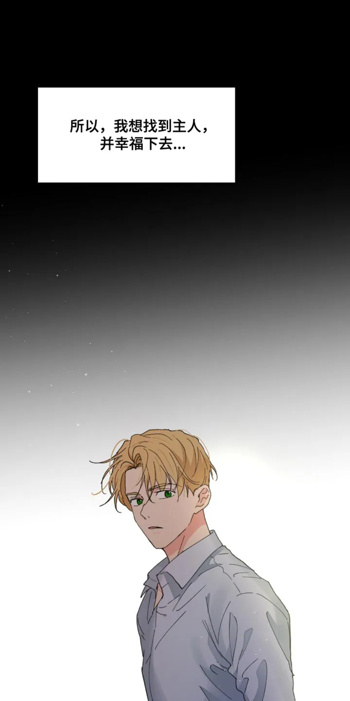学院代表漫画漫画,第164章：【番外】依然最爱你36图
