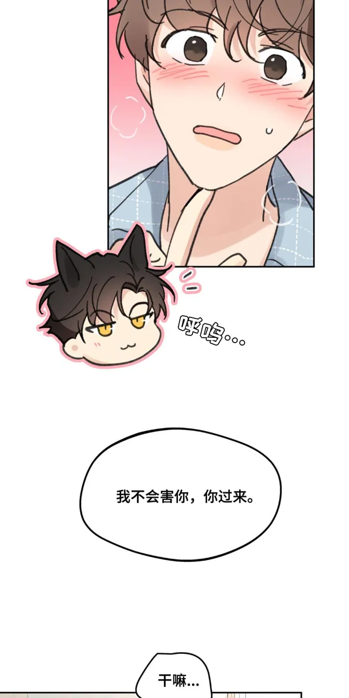 学院代表漫画漫画,第169章：【番外】小猫15图