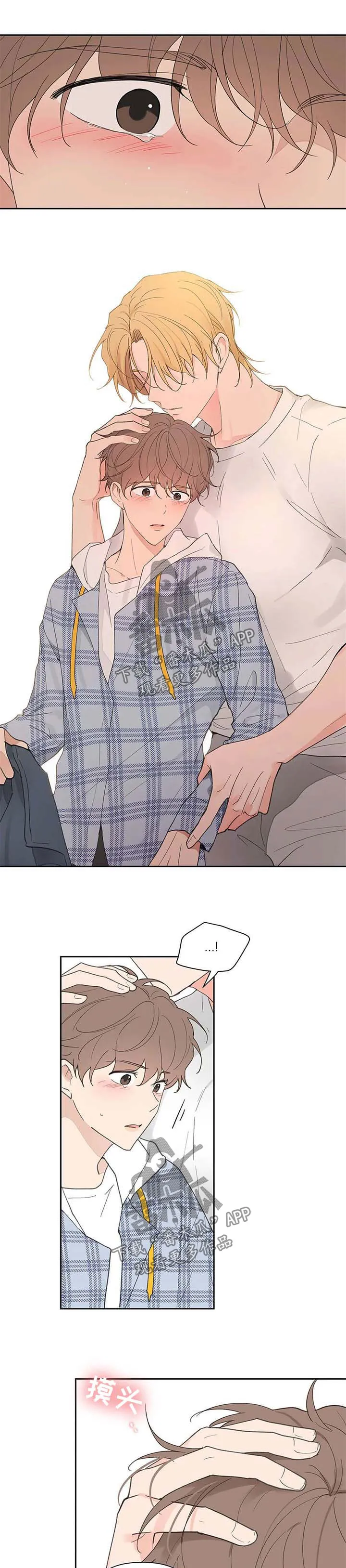 学院漫画图片漫画,第85章：不能喜欢他1图