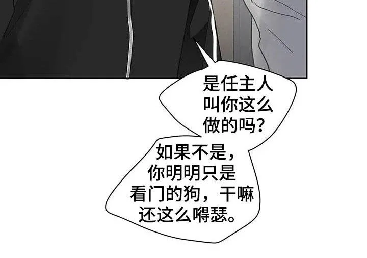 有一部漫画叫什么学院漫画,第139章：【番外】重拳16图