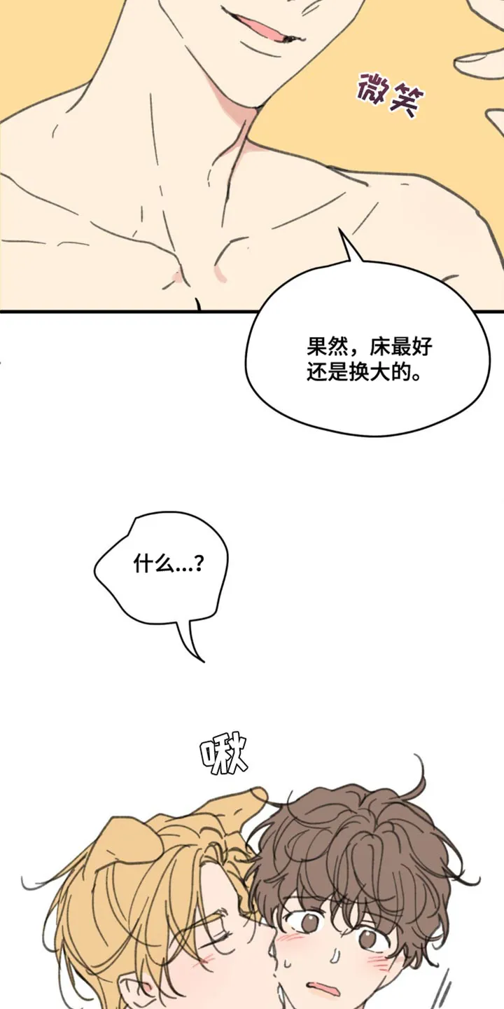 学院代表漫画漫画,第169章：【番外】小猫8图
