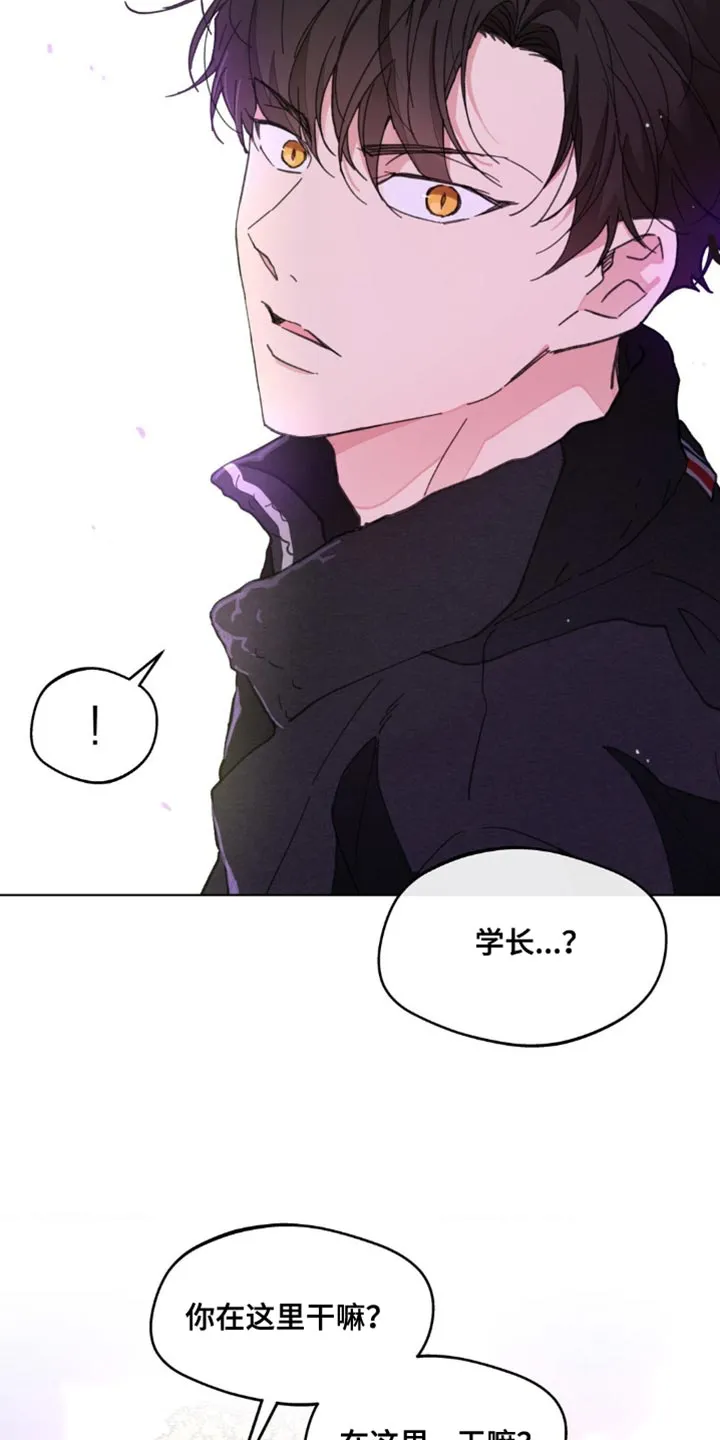 学院型漫画漫画,第160章：【番外】绝对不会忘记8图