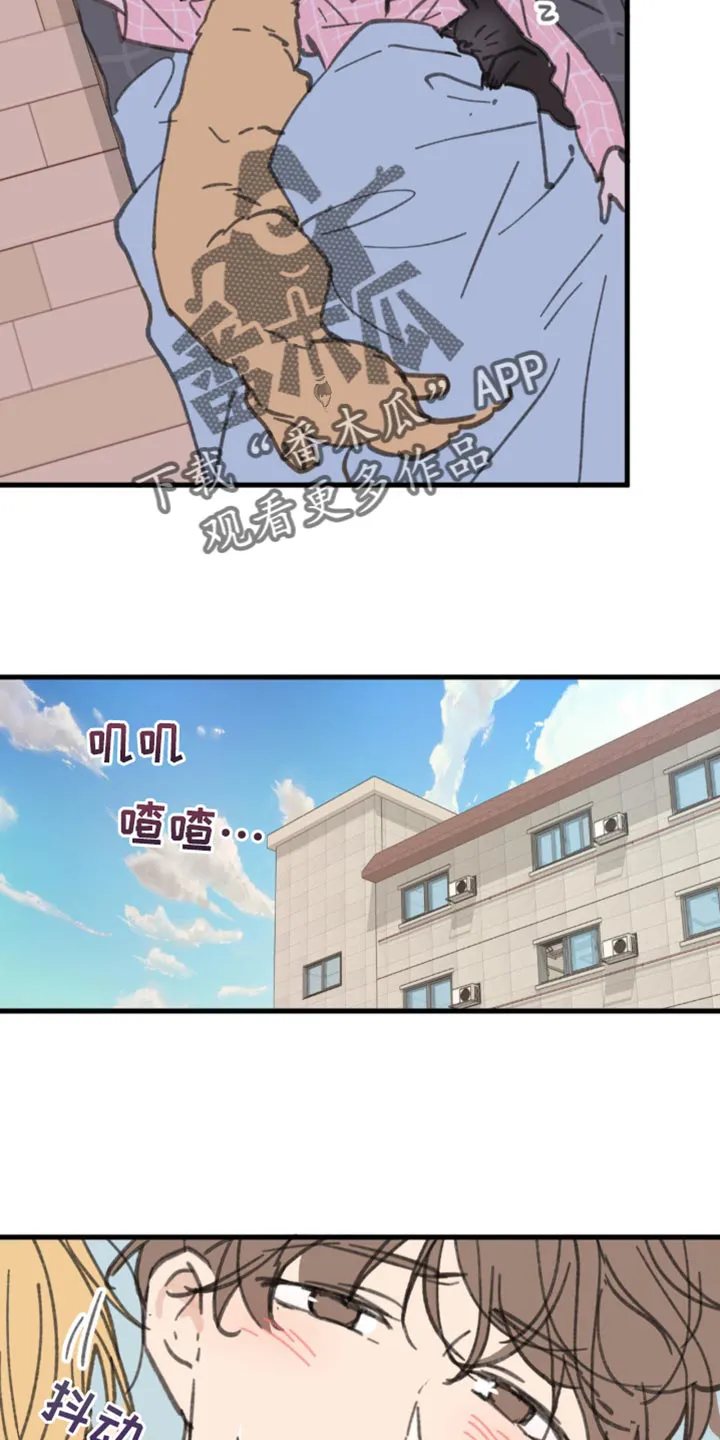 学院代表漫画漫画,第169章：【番外】小猫4图