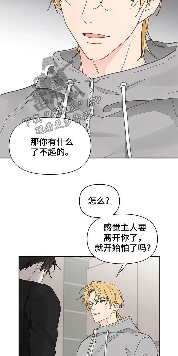 有一部漫画叫什么学院漫画,第139章：【番外】重拳20图