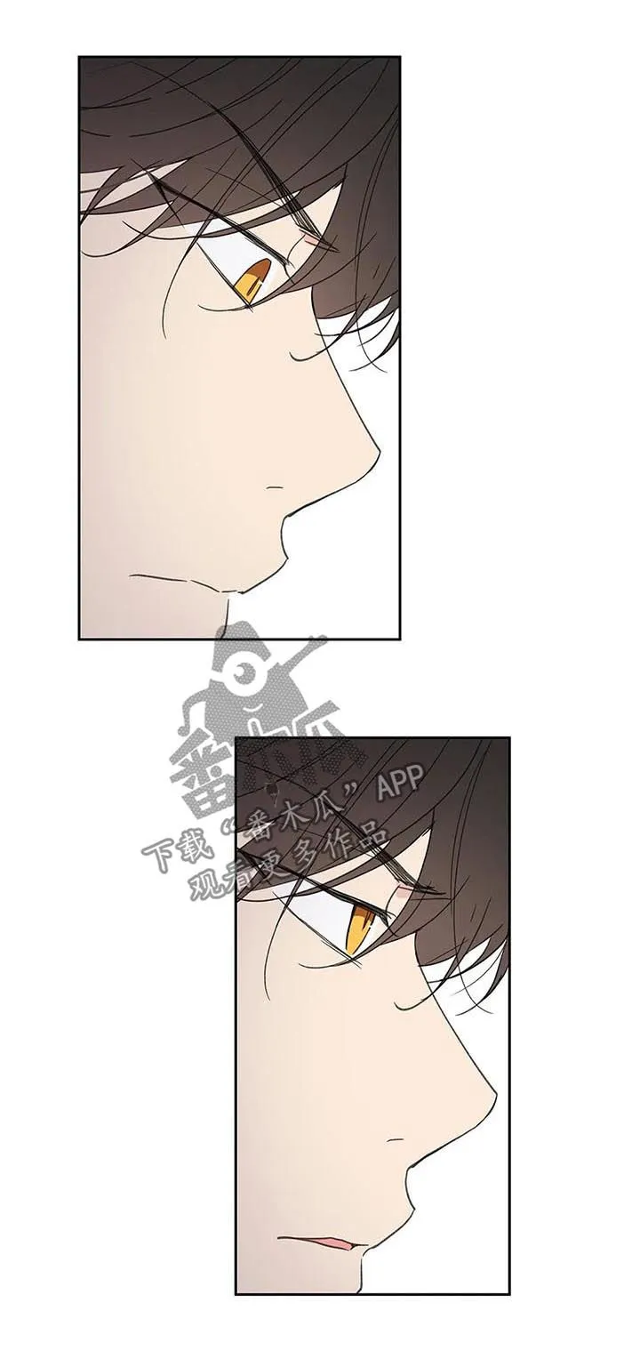 学院代表漫画免费看漫画,第115章：学长到访15图