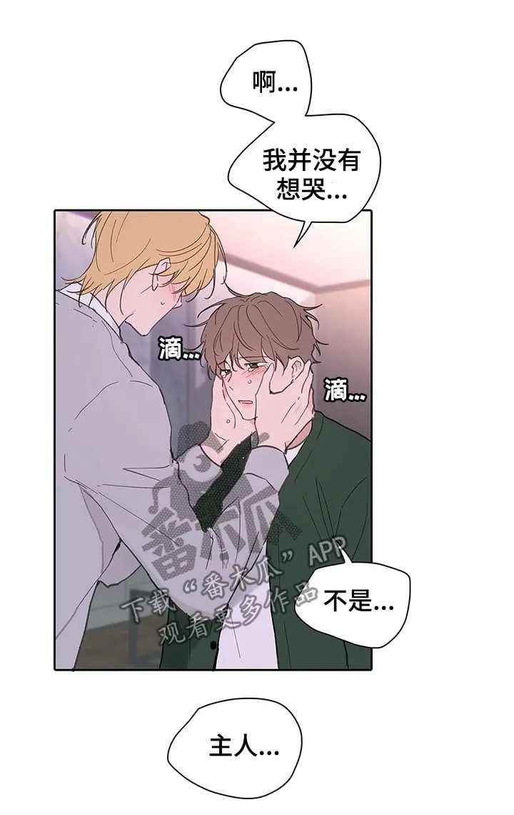 学院代表漫画漫画,第125章：生日（第二季完结）12图