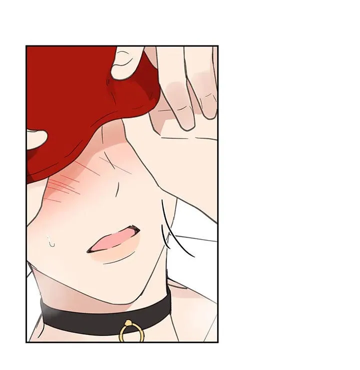 学院代表漫画漫画,第66章：期待一次8图