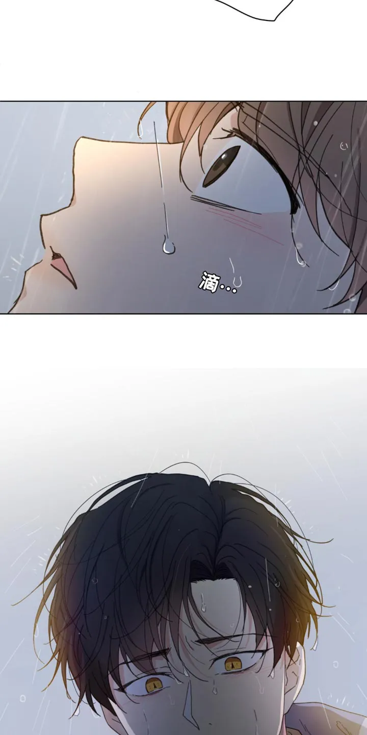 学院代表漫画漫画,第151章：【番外】送你回家16图