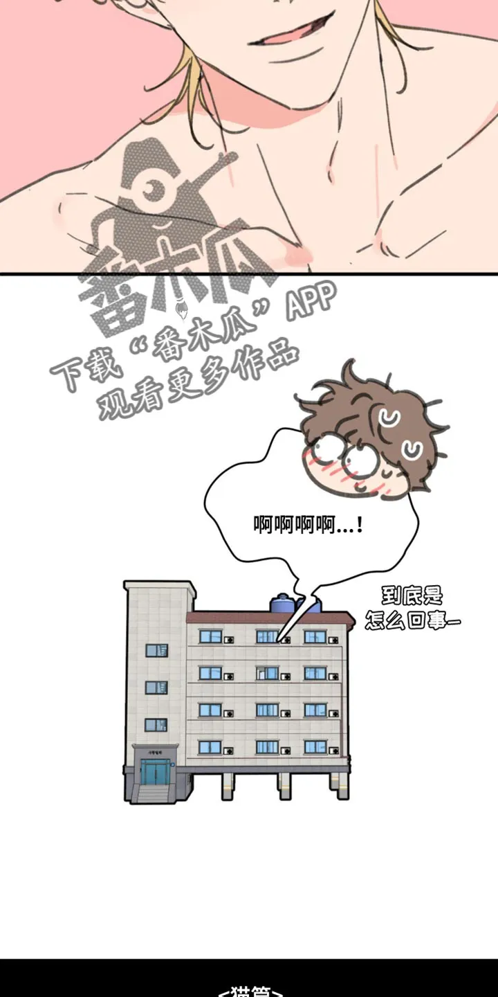 学院代表漫画漫画,第169章：【番外】小猫10图