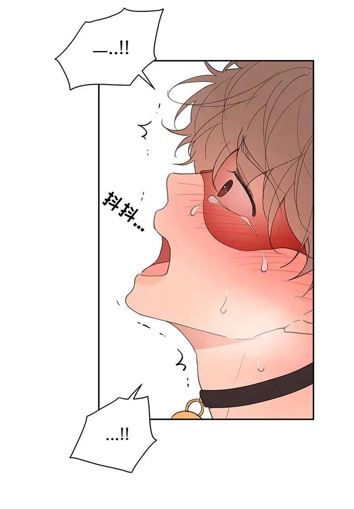 有一部漫画叫什么学院漫画,第65章：你需要的6图