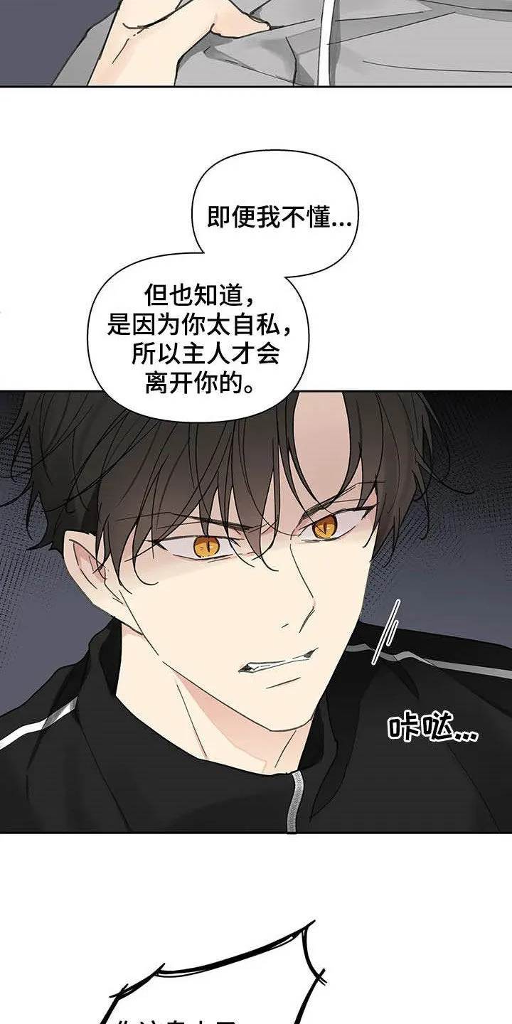 有一部漫画叫什么学院漫画,第139章：【番外】重拳24图