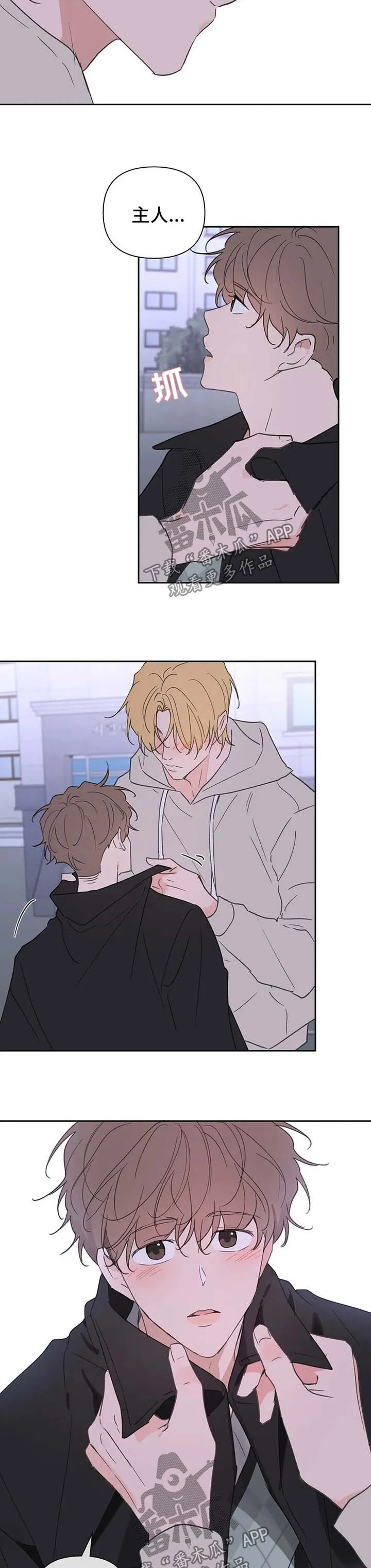 有一部漫画叫什么学院漫画,第100章：你觉得我怎么样11图