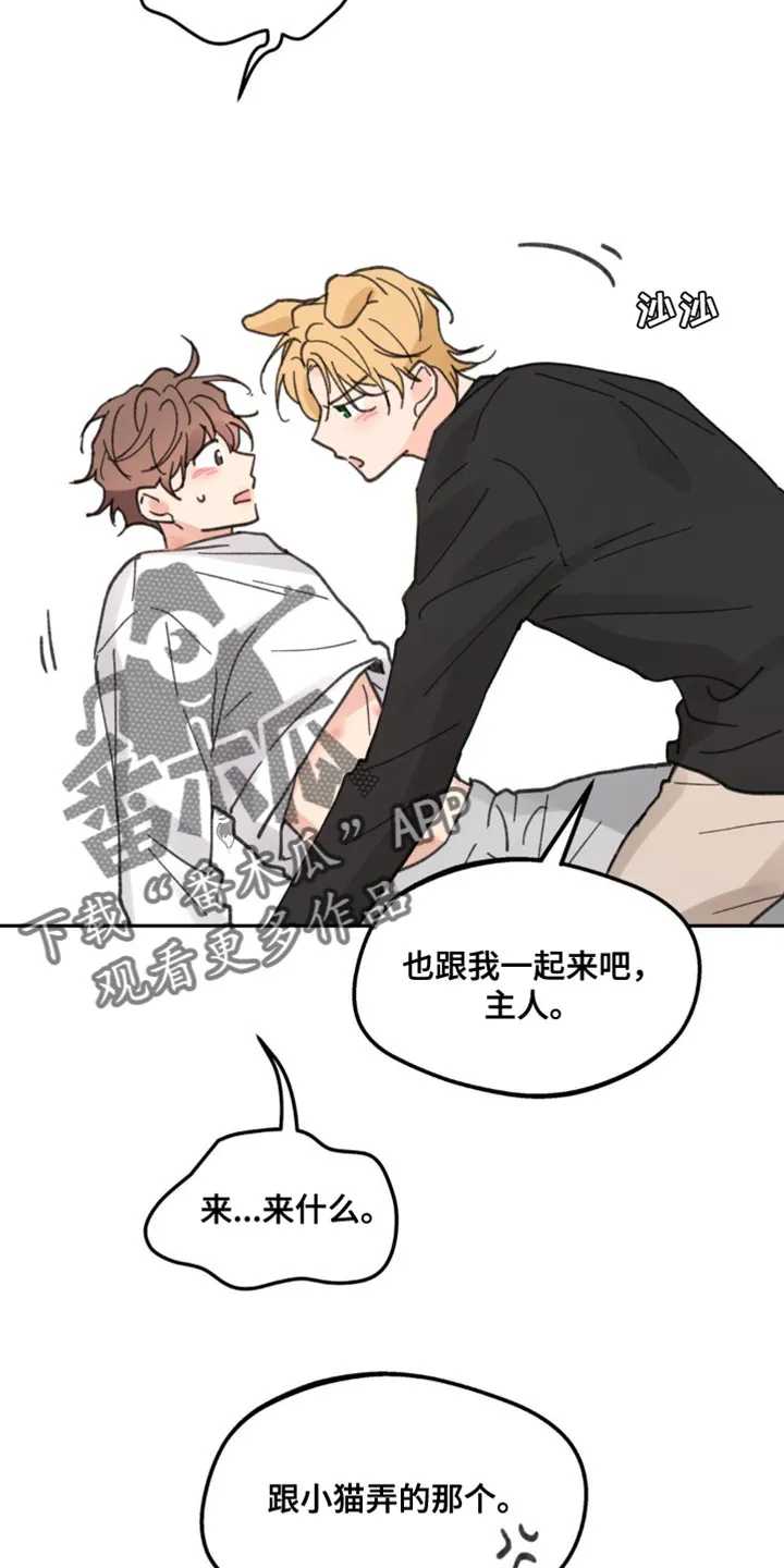 学院代表漫画又叫什么漫画,第170章：【番外】小狗11图