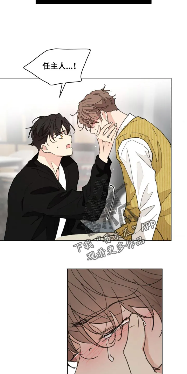 有一部漫画叫什么学院漫画,第158章：【番外】哭泣23图