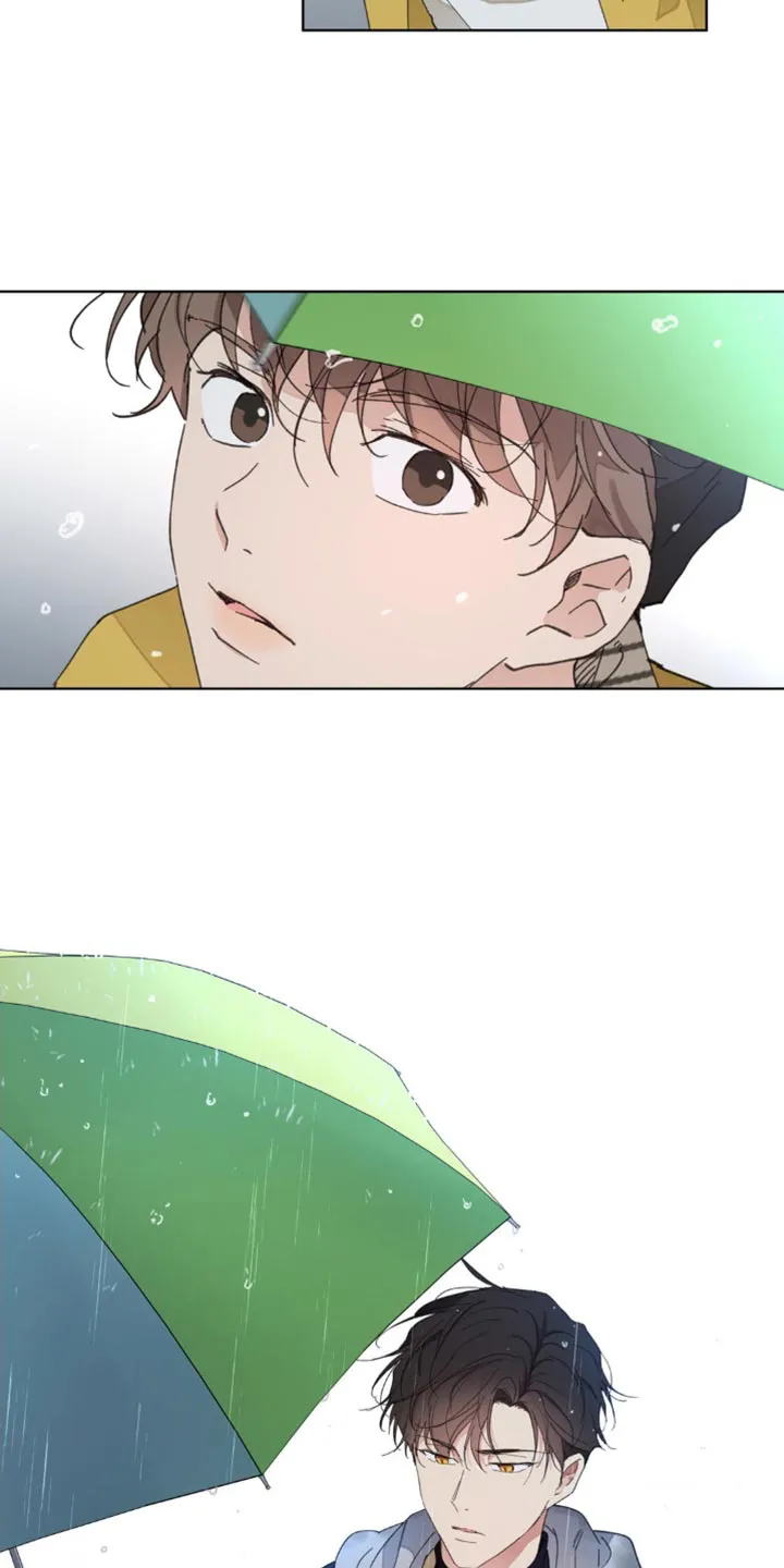 学院代表漫画漫画,第150章：【番外】车祸11图