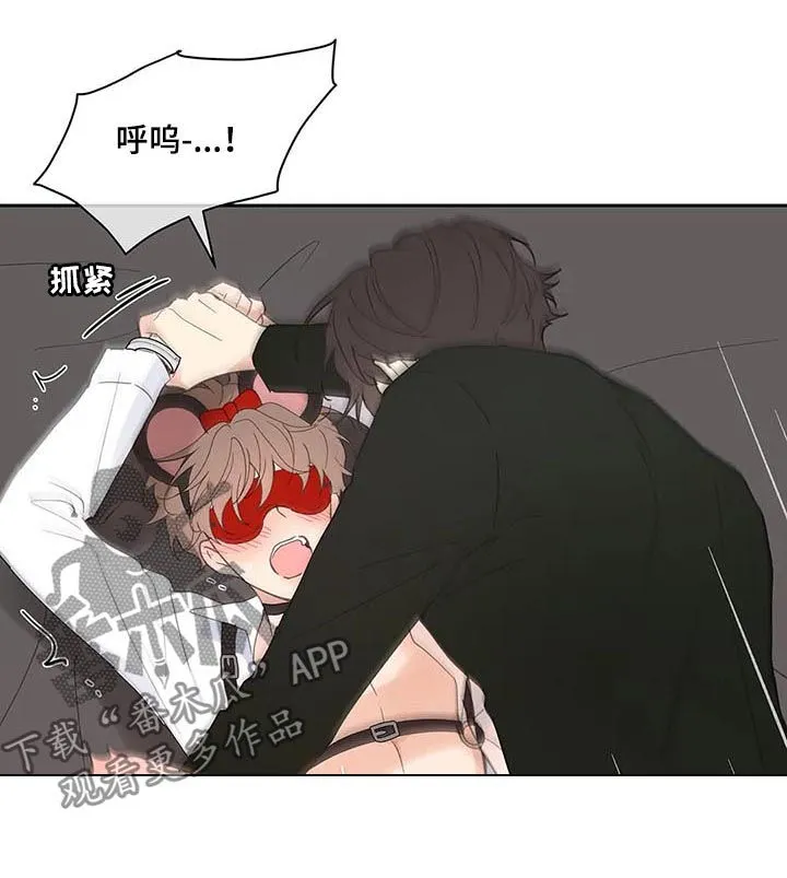 学院代表漫画漫画,第66章：期待一次14图