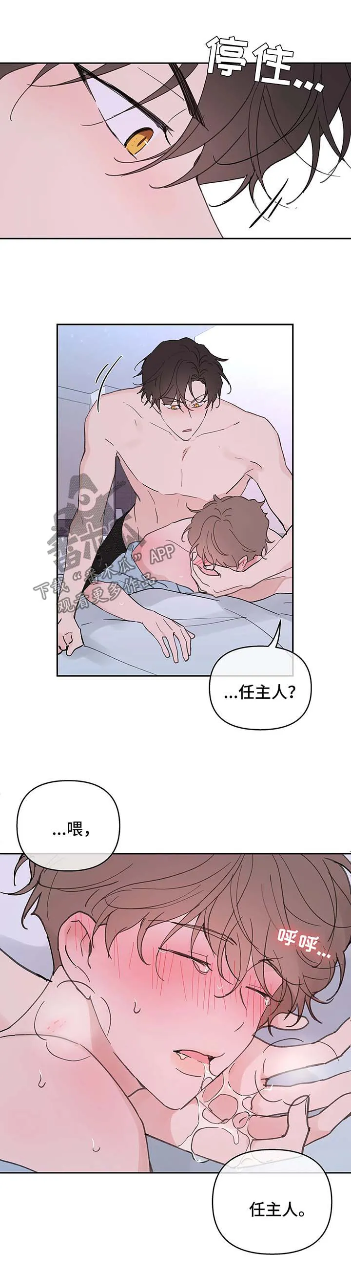 学院代表漫画漫画,第53章：昏迷27图