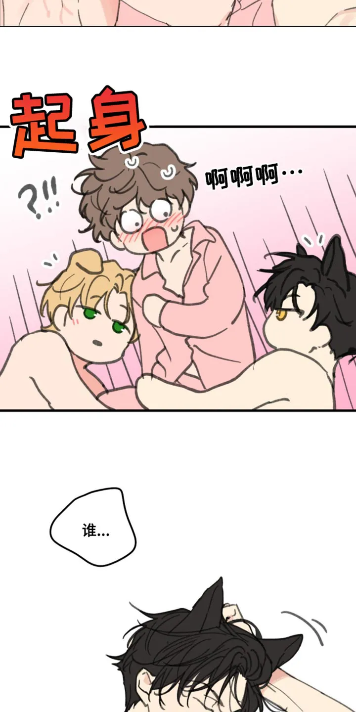 学院代表漫画漫画,第169章：【番外】小猫6图