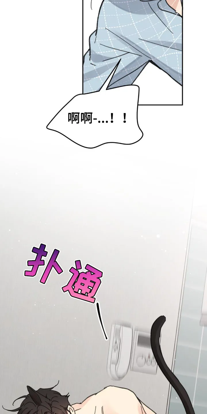 学院代表漫画漫画,第169章：【番外】小猫17图