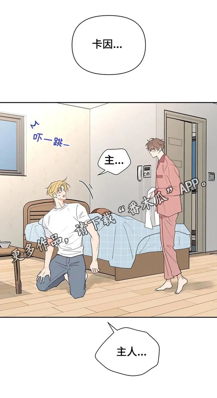 学院篇漫画漫画,第110章：不会说谎1图