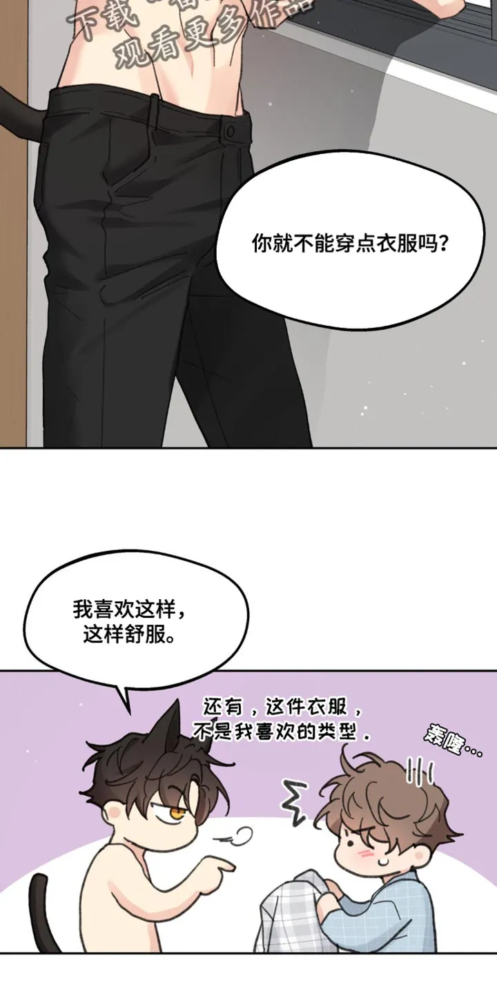 学院代表漫画漫画,第169章：【番外】小猫12图