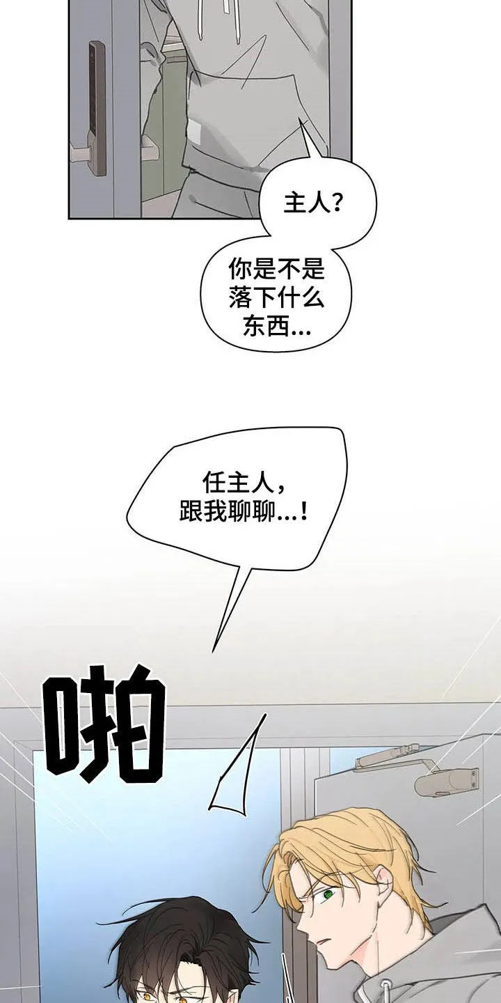有一部漫画叫什么学院漫画,第139章：【番外】重拳12图