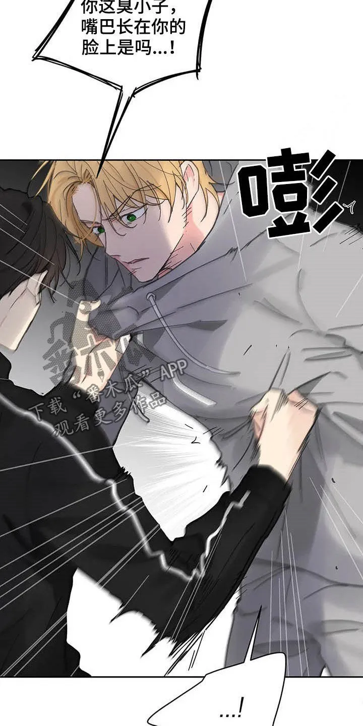 有一部漫画叫什么学院漫画,第139章：【番外】重拳25图
