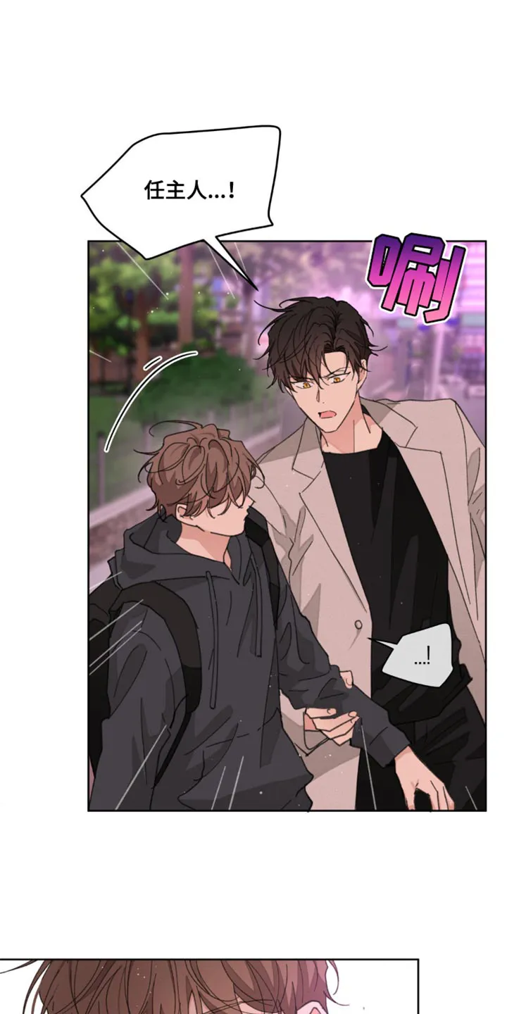 学院代表漫画漫画,第174章：【番外】宽容8图