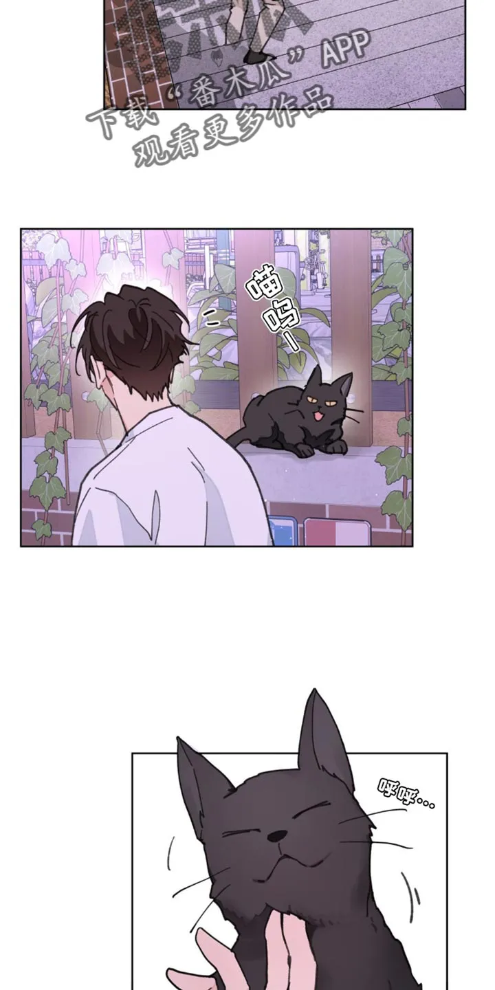 学院代表漫画漫画,第161章：【番外】生气的原因23图