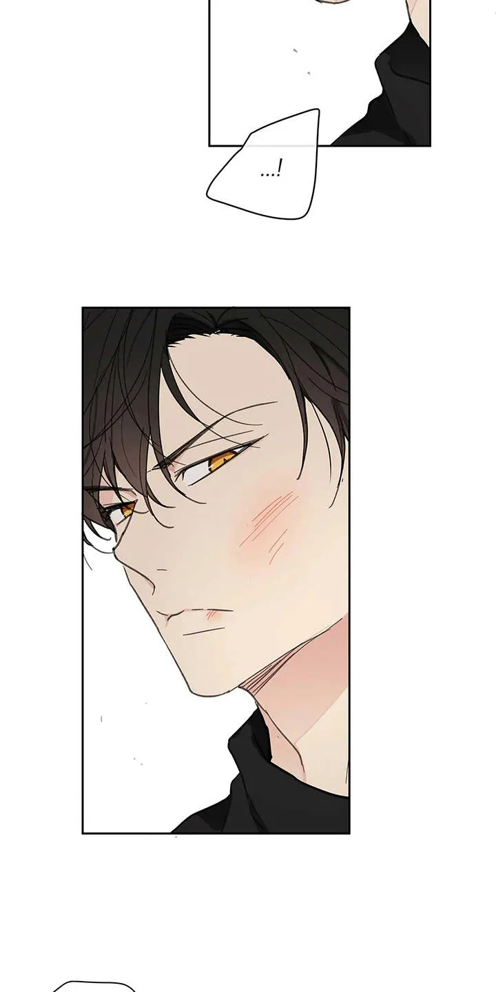 学院代表漫画漫画,第142章：【番外】想要挽回3图