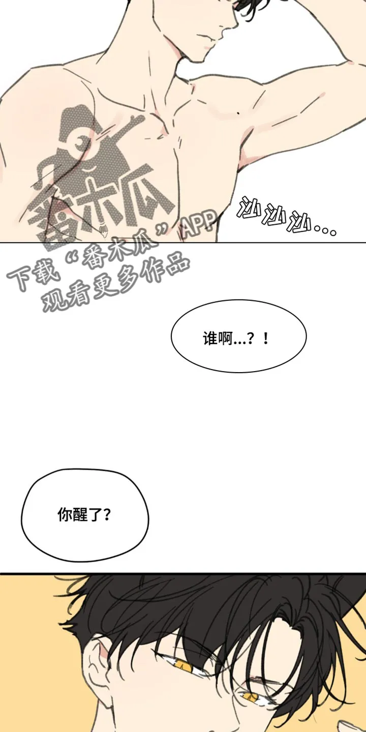 学院代表漫画漫画,第169章：【番外】小猫7图