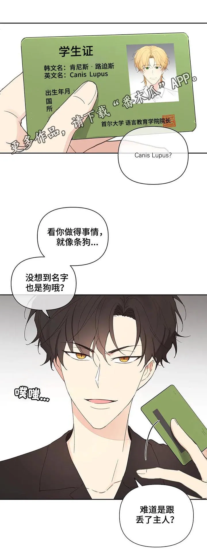 学院代表漫画漫画,第59章：被骗了1图